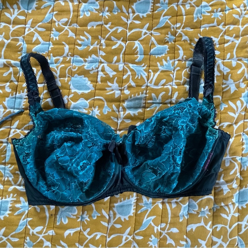 Ewa Michalak BM bra 70HH